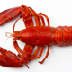 Illustration for article titled Florida woman kicked out of Red Lobster then steals red lobsterem/em